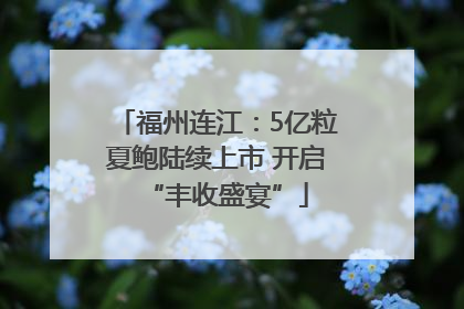 福州连江：5亿粒夏鲍陆续上市 开启“丰收盛宴”