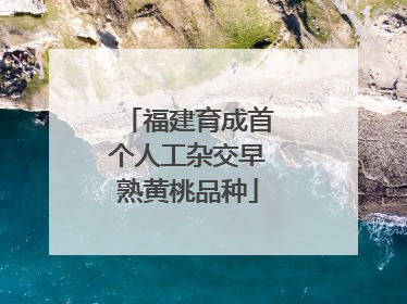 福建育成首个人工杂交早熟黄桃品种