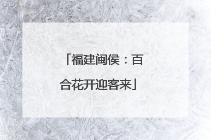 福建闽侯：百合花开迎客来