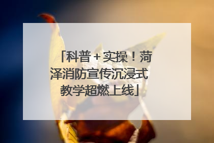 科普＋实操！菏泽消防宣传沉浸式教学超燃上线