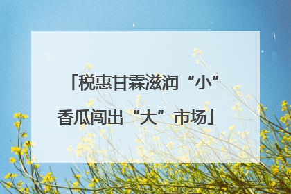 税惠甘霖滋润“小”香瓜闯出“大”市场