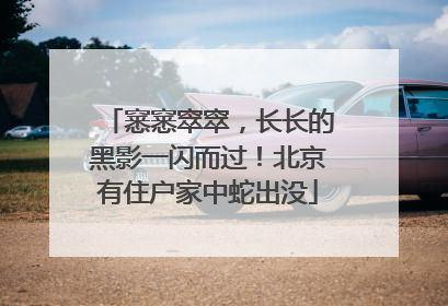 窸窸窣窣，长长的黑影一闪而过！北京有住户家中蛇出没