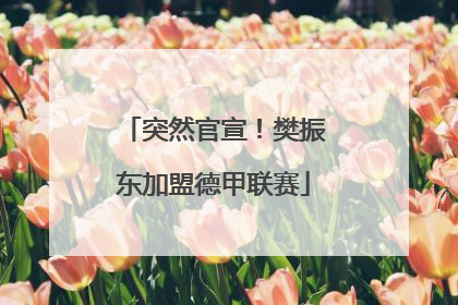 突然官宣！樊振东加盟德甲联赛