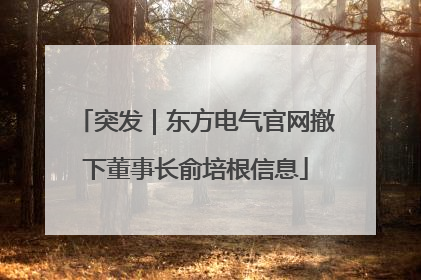 突发｜东方电气官网撤下董事长俞培根信息