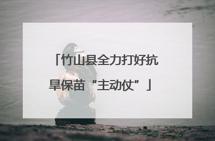 竹山县全力打好抗旱保苗“主动仗”