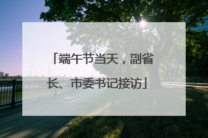 端午节当天，副省长、市委书记接访