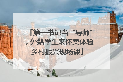 第一书记当“导师”，外籍学生来怀柔体验乡村振兴现场课