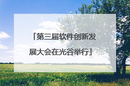 第三届软件创新发展大会在光谷举行