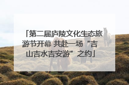 第二届庐陵文化生态旅游节开幕 共赴一场“吉山吉水吉安游”之约