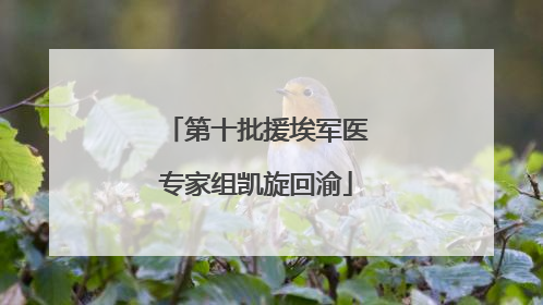 第十批援埃军医专家组凯旋回渝