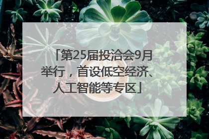 第25届投洽会9月举行，首设低空经济、人工智能等专区