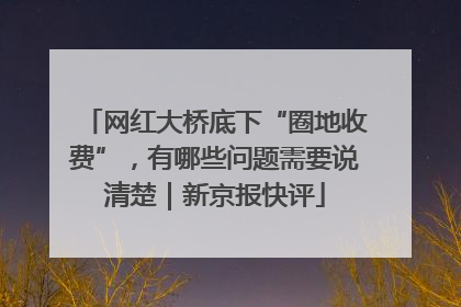网红大桥底下“圈地收费”，有哪些问题需要说清楚｜新京报快评