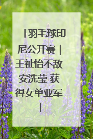 羽毛球印尼公开赛｜王祉怡不敌安洗莹 获得女单亚军