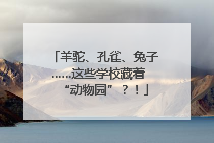 羊驼、孔雀、兔子……这些学校藏着 “动物园”？！