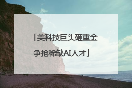 美科技巨头砸重金争抢稀缺AI人才