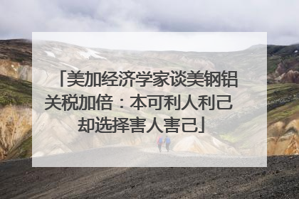 美加经济学家谈美钢铝关税加倍：本可利人利己 却选择害人害己