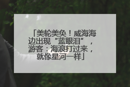美轮美奂！威海海边出现“蓝眼泪”，游客：海浪打过来，就像星河一样