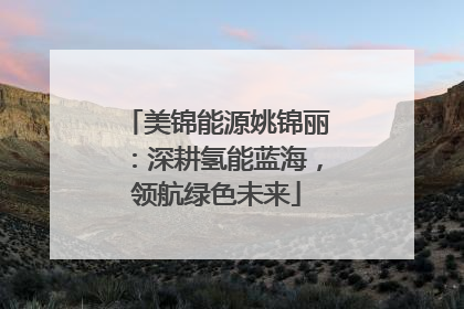 美锦能源姚锦丽：深耕氢能蓝海，领航绿色未来