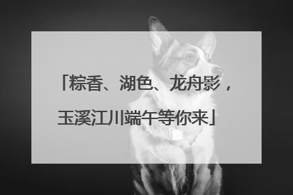 粽香、湖色、龙舟影，玉溪江川端午等你来