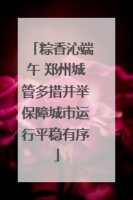 粽香沁端午 郑州城管多措并举保障城市运行平稳有序