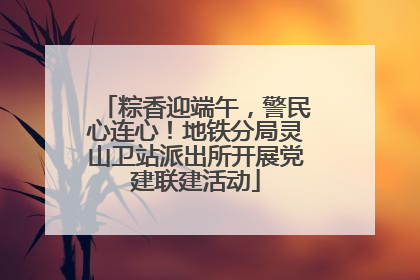 粽香迎端午，警民心连心！地铁分局灵山卫站派出所开展党建联建活动