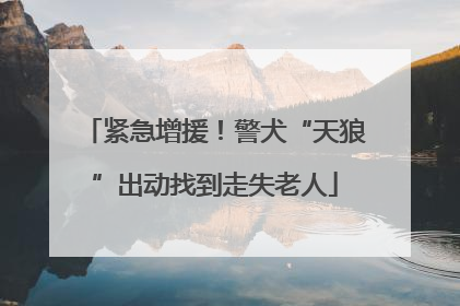 紧急增援！警犬“天狼”出动找到走失老人