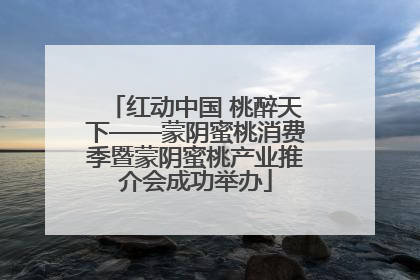 红动中国 桃醉天下——蒙阴蜜桃消费季暨蒙阴蜜桃产业推介会成功举办