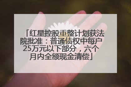 红星控股重整计划获法院批准：普通债权中每户25万元以下部分，六个月内全额现金清偿