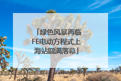 绿色风暴再临 FE电动方程式上海站圆满落幕
