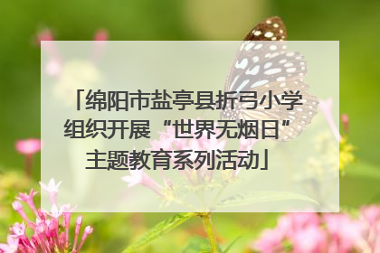 绵阳市盐亭县折弓小学组织开展“世界无烟日”主题教育系列活动