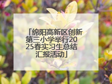 绵阳高新区创新第三小学举行2025春实习生总结汇报活动