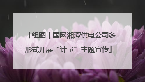 组图｜国网湘潭供电公司多形式开展“计量”主题宣传