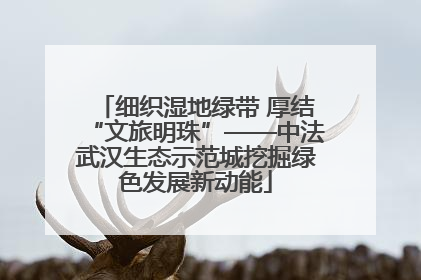 细织湿地绿带 厚结“文旅明珠”——中法武汉生态示范城挖掘绿色发展新动能