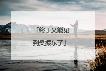 终于又能见到樊振东了