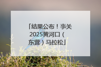 结果公布！事关2025黄河口（东营）马拉松