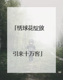 绣球花绽放 引来十万客