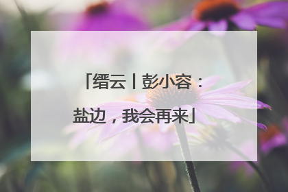 缙云丨彭小容：盐边，我会再来