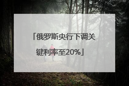 俄罗斯央行下调关键利率至20%