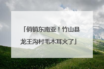 俏销东南亚！竹山县龙王沟村毛木耳火了