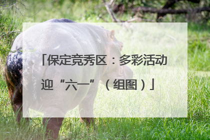 保定竞秀区：多彩活动迎“六一”（组图）