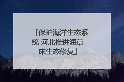 保护海洋生态系统 河北推进海草床生态修复