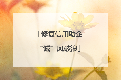 修复信用助企“诚”风破浪