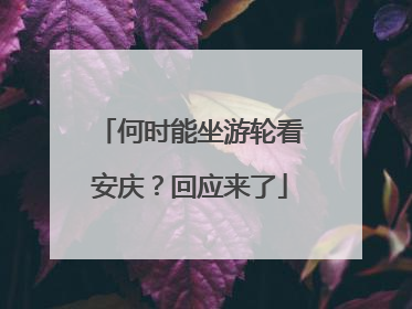 何时能坐游轮看安庆？回应来了