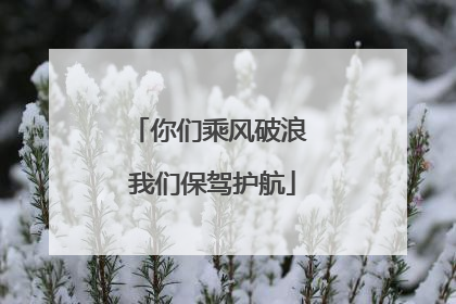 你们乘风破浪 我们保驾护航