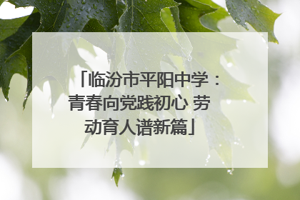 临汾市平阳中学：青春向党践初心 劳动育人谱新篇