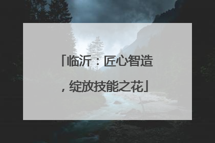 临沂：匠心智造，绽放技能之花