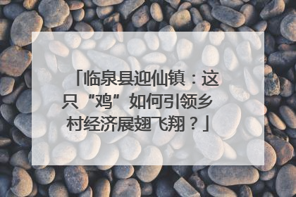 临泉县迎仙镇：这只“鸡”如何引领乡村经济展翅飞翔？