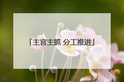 主官主抓 分工推进