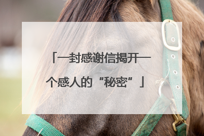 一封感谢信揭开一个感人的“秘密”
