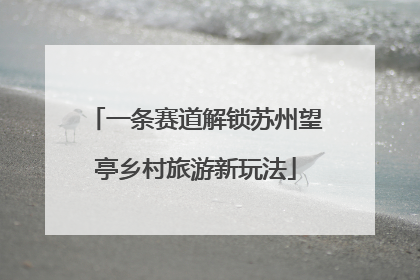 一条赛道解锁苏州望亭乡村旅游新玩法